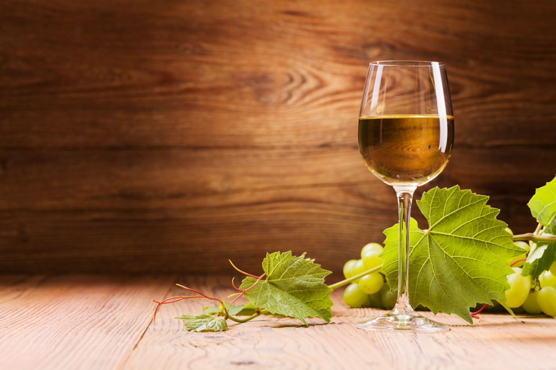 pineau-degustation.jpg