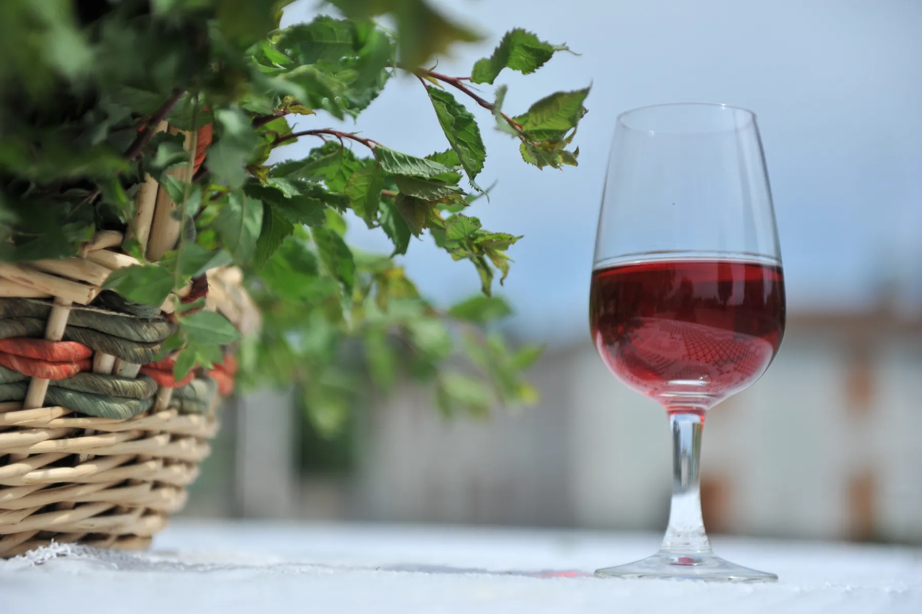 Cognac - Lise Baccara