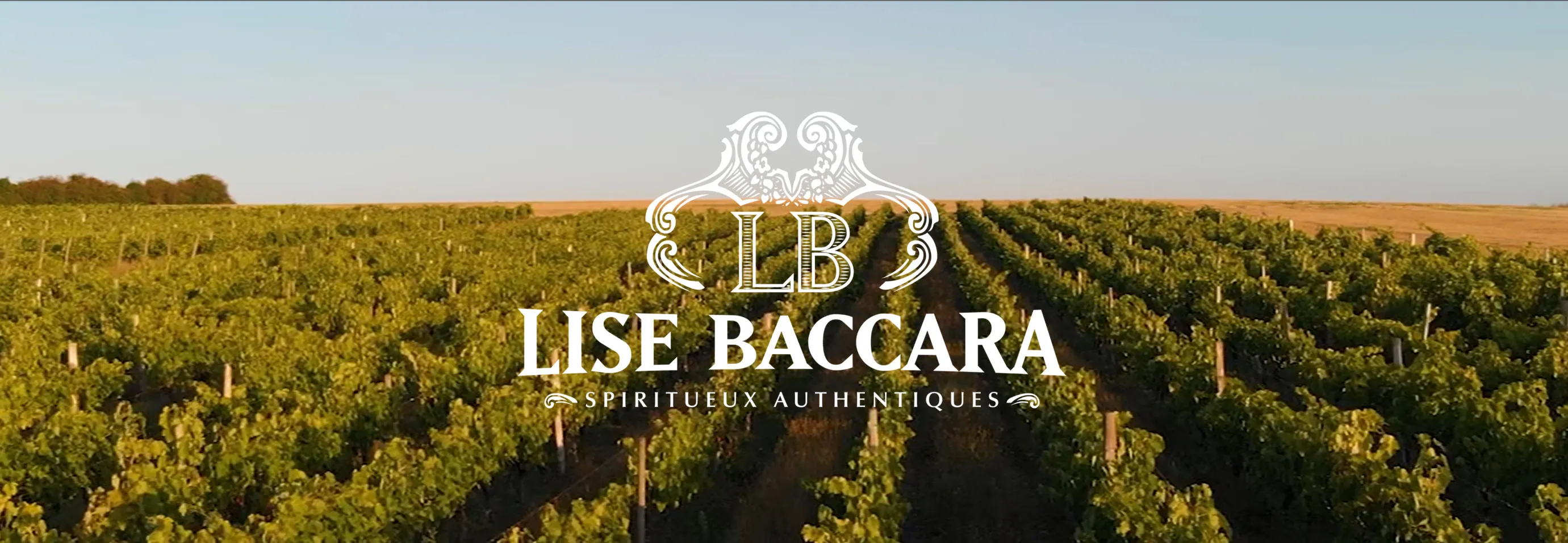 Lise Baccara – Maison de cognac et de spiritueux d’exception depuis 1988