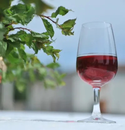 Verre de Troussepinète Lise Baccara, l’apéritif en Vendée
